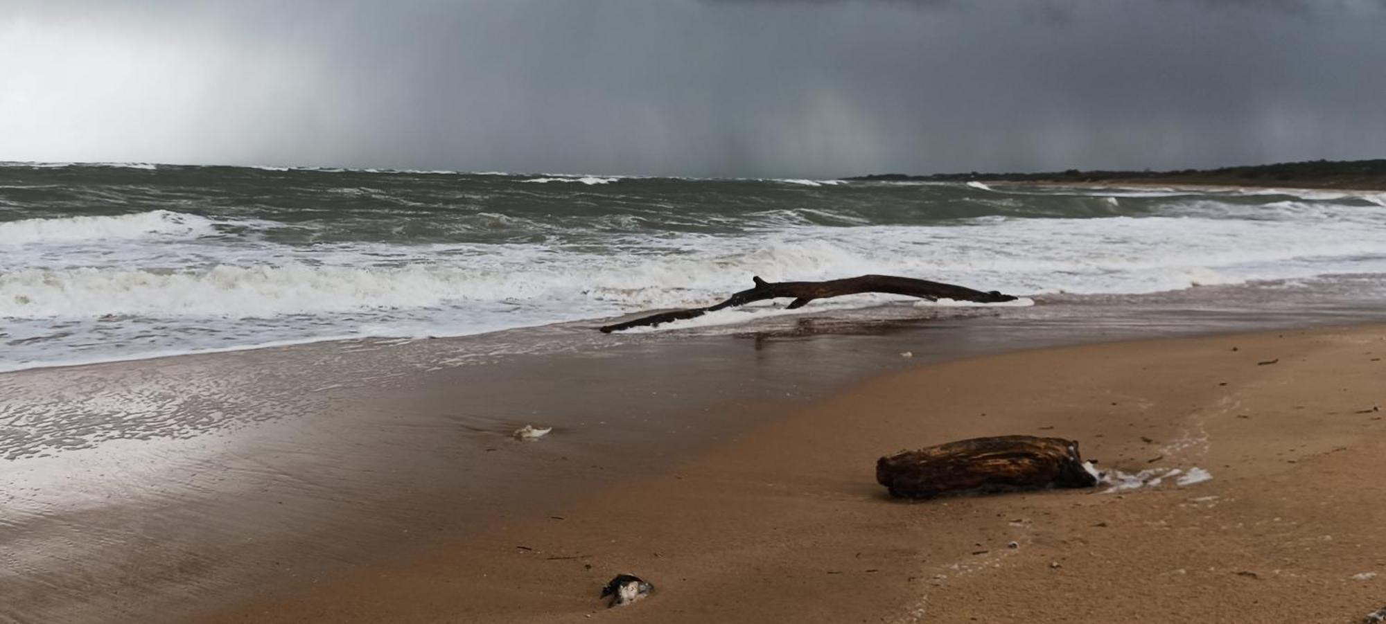 Вілла Le Pirate Lazor - Les Sables Vignier Екстер'єр фото